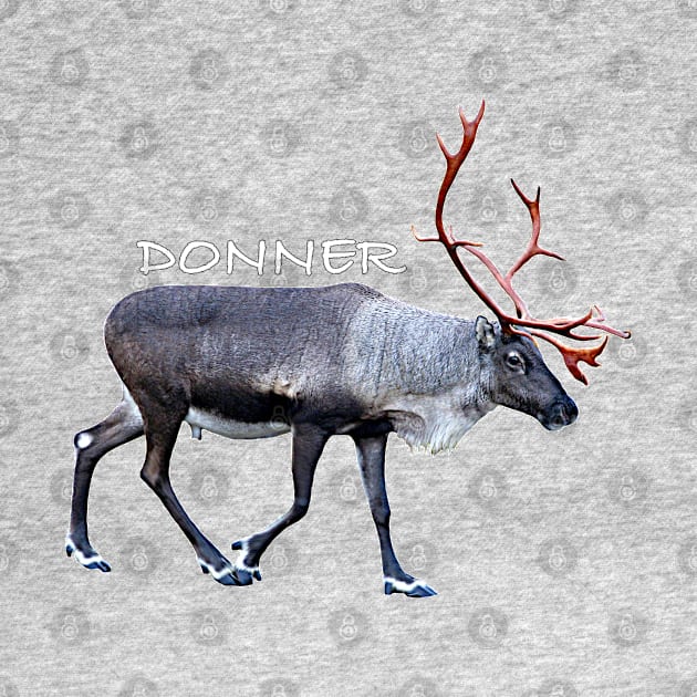 Donner by FotoJarmo